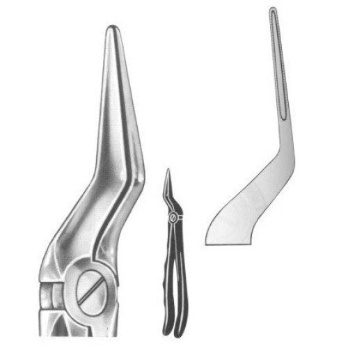 Extracting forceps english pattern fig. 51L