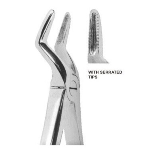 Extracting forceps english pattern fig. 515