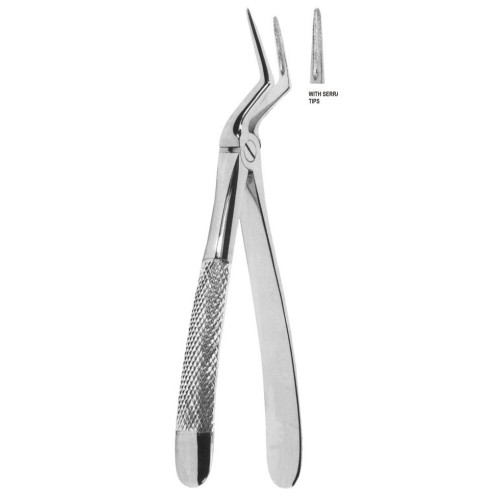 Extracting forceps english pattern fig. 51XL