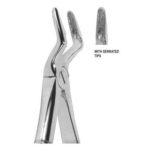 Extracting forceps english pattern fig. 52