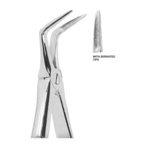 Extracting forceps english pattern fig. 145