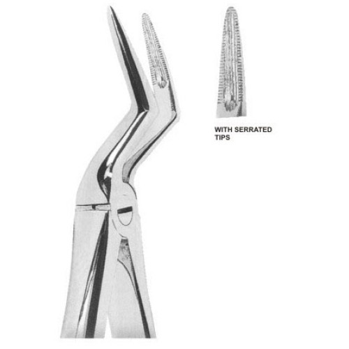 Extracting forceps english pattern fig. 151