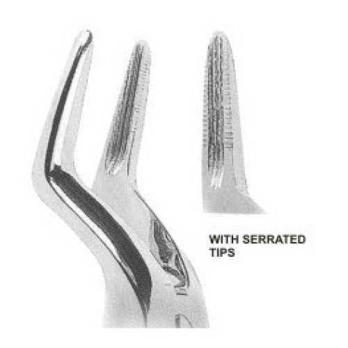 Extracting forceps Fig. 51A