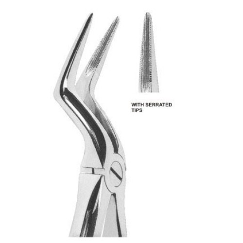 Extracting forceps Fig. 151