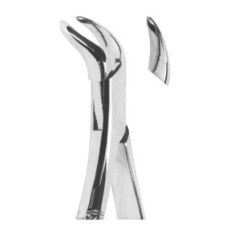 Extracting forceps Fig. 16