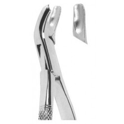 Extracting forceps American pattern Fig. 18R