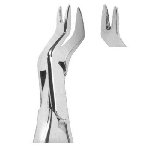 Extracting forceps American pattern Fig. 88R