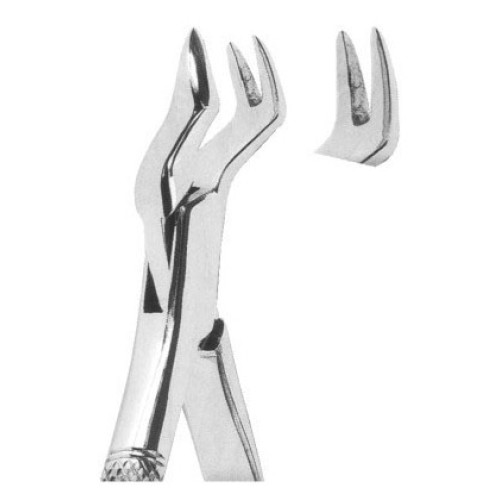 Extracting forceps American pattern Fig. 88L