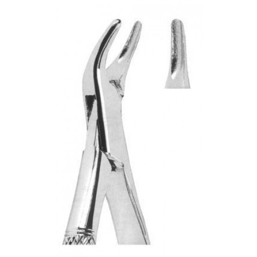 Extracting forceps American pattern Fig. 101