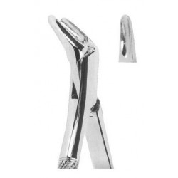 Extracting forceps American pattern Fig. 151