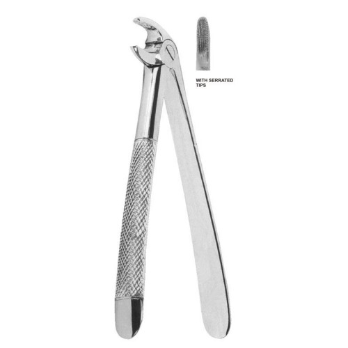 Extracting forceps English pattern Fig. 135